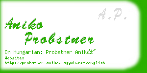 aniko probstner business card